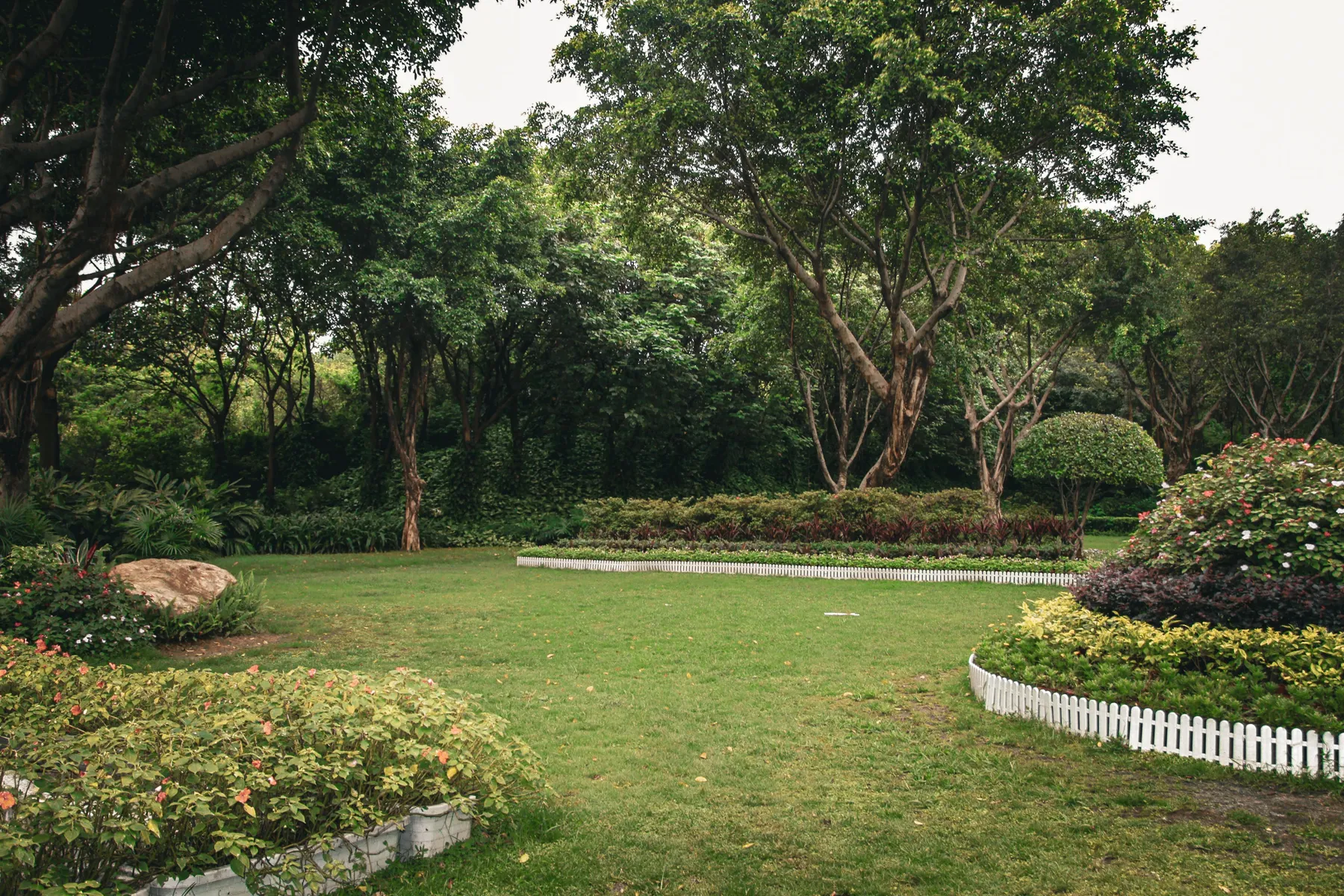 Lush, professionally landscaped garden with layered plantings