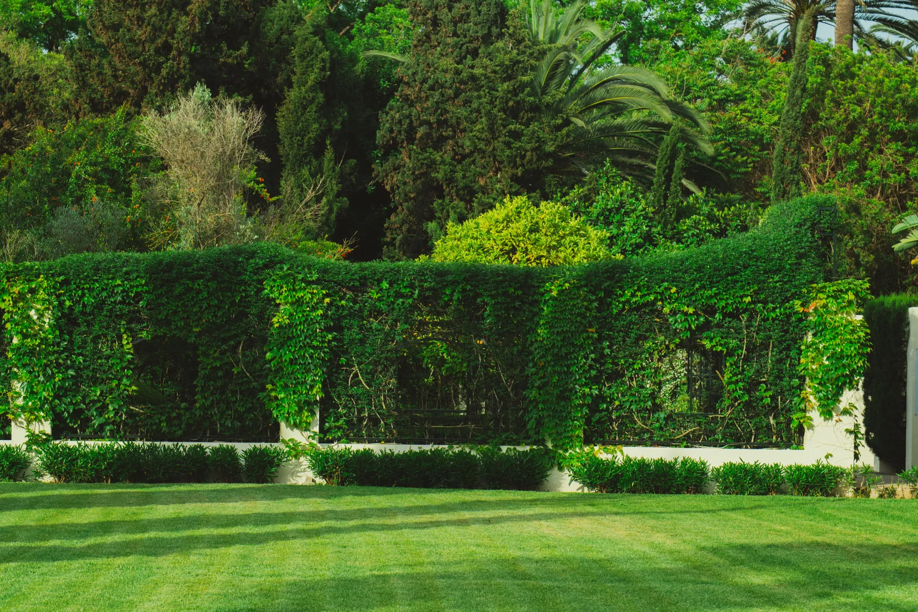 Landscape garden design and planting