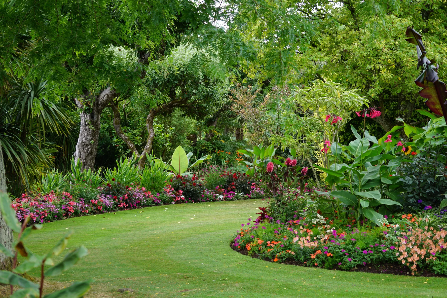 Healthy maintained lawn and garden
